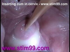 Actriz porno dos vaginas