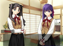 Fate Stay Night Visual Novel Español