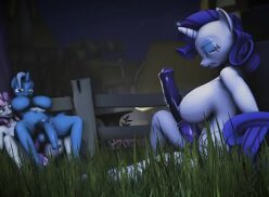 Aventuras De Potro Y Pony