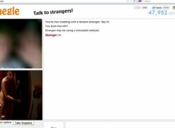 Camara Falsa Omegle