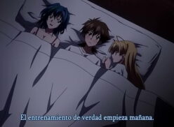 Highschool Dxd X