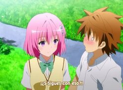 Motto To Love Ru Sin Censura