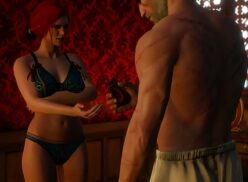 The Witcher 3 Boobs