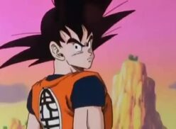 Xnxx De Goku