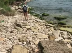 Sobre la arena de la playa, la sensual Arya Holes se divierte mucho haciendo el amor a la vista de todos y termina con un baño de esperma en el culo